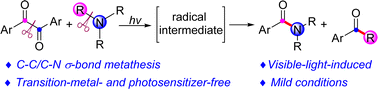 Graphical abstract: Intermolecular C–C/C–N σ-bond metathesis enabled by visible light