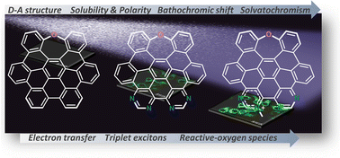 Graphical abstract: Multi-heteroatom doped nanographenes: enhancing photosensitization capacity by forming an electron donor–acceptor architecture