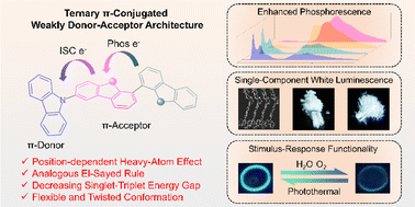 Graphical abstract: Utilizing weakly donor–acceptor ternary π-conjugated architecture to achieve single-component white luminescence and stimulus-responsive room-temperature phosphorescence