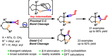 Graphical abstract: Palladium-catalyzed selective C–C bond cleavage of keto-vinylidenecyclopropanes: construction of structurally rich dihydrofurans and tetrahydrofurans