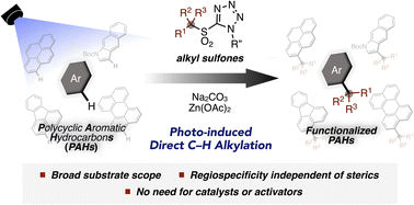 Graphical abstract: Visible-light-induced direct C–H alkylation of polycyclic aromatic hydrocarbons with alkylsulfones