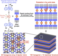 Graphical abstract: 2D hexagonal assembly of a dipolar rotor with a close interval of 0.8 nm using a triptycene-based supramolecular scaffold