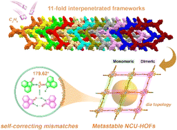 Graphical abstract: Self-correcting mismatches in metastable hydrogen-bonded organic frameworks with an 11-fold interpenetrated array