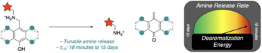 Graphical abstract: Controlling rates and reversibilities of elimination reactions of hydroxybenzylammoniums by tuning dearomatization energies