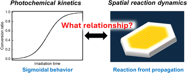 Graphical abstract: Relationship between spatially heterogeneous reaction dynamics and photochemical kinetics in single crystals of anthracene derivatives