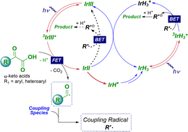 Graphical abstract: Multiphoton tandem photoredox catalysis of [Ir(dFCF3ppy)2(dtbbpy)]+ facilitating radical acylation reactions