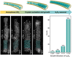 Graphical abstract: Directional growth and reconstruction of ultrafine uranium oxide nanorods within single-walled carbon nanotubes