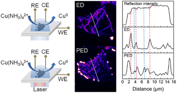 Graphical abstract: Wide-field imaging of active site distribution on semiconducting transition metal dichalcogenide nanosheets in electrocatalytic and photoelectrocatalytic processes