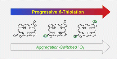 Graphical abstract: More is different: progressive β-thiolation induced-porphyrin aggregation switches singlet oxygen photosensitization