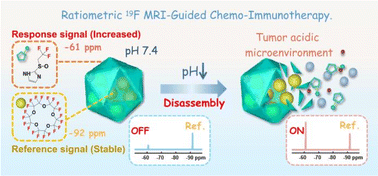 Graphical abstract: Visualization of drug release in a chemo-immunotherapy nanoplatform via ratiometric 19F magnetic resonance imaging