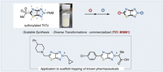 Graphical abstract: 2H-Thiazolo[4,5-d][1,2,3]triazole: synthesis, functionalization, and application in scaffold-hopping