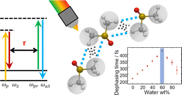 Graphical abstract: Dynamics of CH/n hydrogen bond networks probed by time-resolved CARS spectroscopy