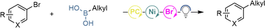 Graphical abstract: Bromine radical release from a nickel-complex facilitates the activation of alkyl boronic acids: a boron selective Suzuki–Miyaura cross coupling