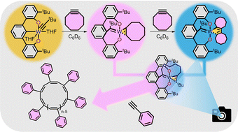 Graphical abstract: Snapshot of cyclooctyne ring-opening to a tethered alkylidene cyclic polymer catalyst
