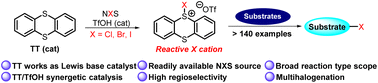 Graphical abstract: Thianthrene/TfOH-catalyzed electrophilic halogenations using N-halosuccinimides as the halogen source