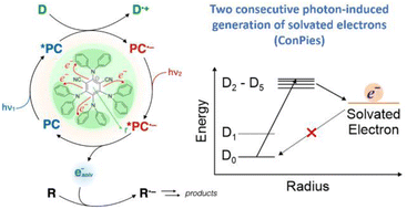 Graphical abstract: Organic super-reducing photocatalysts generate solvated electrons via two consecutive photon induced processes