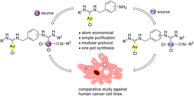 Graphical abstract: Comparative study of the antiproliferative activity of heterometallic carbene gold(i)–platinum(ii) and gold(i)–palladium(ii) complexes in cancer cell lines