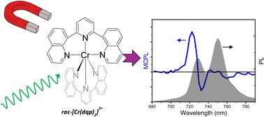 Graphical abstract: Magnetic circularly polarized luminescence from spin–flip transitions in a molecular ruby
