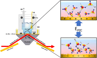 Graphical abstract: Water at electrode–electrolyte interfaces: combining HOD vibrational spectra with ab initio-molecular dynamics simulations