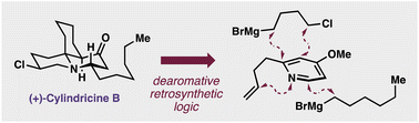 Graphical abstract: Enantioselective total synthesis of (+)-cylindricine B