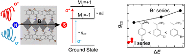 Graphical abstract: Deciphering the electronic and structural origin of chiroptical activity of chiral 2D perovskites