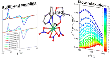 Graphical abstract: Slow magnetic relaxation and strong magnetic coupling in the nitroxyl radical complexes of lanthanide(iii) with diamagnetic ground state (Ln = Lu, Eu)