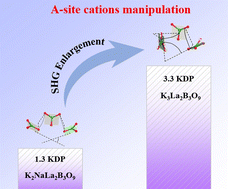 Graphical abstract: A-site cation manipulation of exemplary second harmonic generation response and optical anisotropy in rare-earth borates