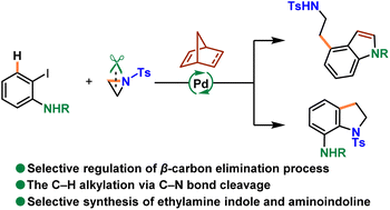 Graphical abstract: A switch strategy for the synthesis of C4-ethylamine indole and C7-aminoindoline via controllable carbon elimination