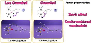 Graphical abstract: Unlocking regioselectivity: steric effects and conformational constraints of Lewis bases in alkyllithium-initiated butadiene polymerization