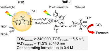 Graphical abstract: Visible-light-responsive hybrid photocatalysts for quantitative conversion of CO2 to highly concentrated formate solutions