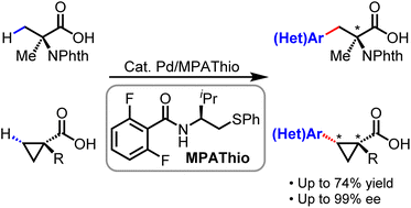 Graphical abstract: Synthesis of chiral α-amino acids via Pd(ii)-catalyzed enantioselective C–H arylation of α-aminoisobutyric acid