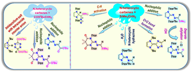 Graphical abstract: Uncovering diverse reactivity of NHCs with diazoalkane: C–H activation, C [[double bond, length as m-dash]] C bond formation, and access to N-heterocyclic methylenehydrazine