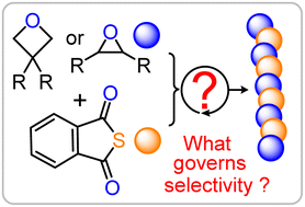 Graphical abstract: Monomer centred selectivity guidelines for sulfurated ring-opening copolymerisations