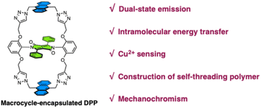 Graphical abstract: Internally diketopyrrolopyrrole-bridged bis-anthracene macrocycle: a multifunctional fluorescent platform