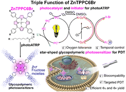 Graphical abstract: Triple-function porphyrin in glycopolymeric photosensitizers: from photoATRP to targeted PDT