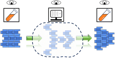 Graphical abstract: A machine learned potential for investigating single crystal to single crystal transformations in complex organic molecular systems