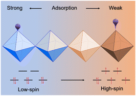 Spin effects in regulating the adsorption characteristics of metal ions