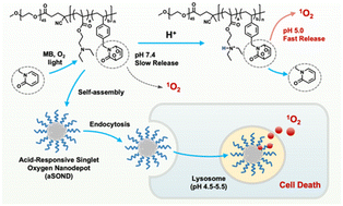 Graphical abstract: Acid-responsive singlet oxygen nanodepots