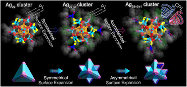 Graphical abstract: Symmetrical and asymmetrical surface structure expansions of silver nanoclusters with atomic precision