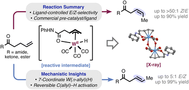 Graphical abstract: Tungsten-catalyzed stereodivergent isomerization of terminal olefins