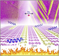 Graphical abstract: Unusual one dimensional cascade effect in the thermal and photo-induced switching of azobenzene derivatives on a graphite surface