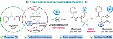 Graphical abstract: Regioselective intermolecular carboamination of allylamines via nucleopalladation: empowering three-component synthesis of vicinal diamines