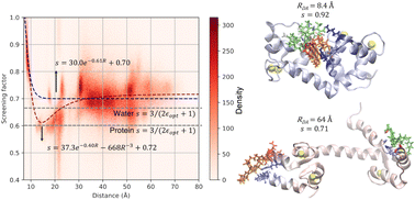 Graphical abstract: On the breakdown of Förster energy transfer theory due to solvent effects: atomistic simulations unveil distance-dependent dielectric screening in calmodulin