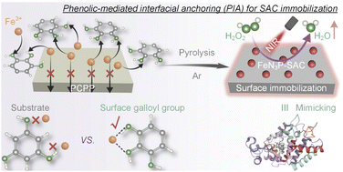 Graphical abstract: Surface immobilization of single atoms on heteroatom-doped carbon nanospheres through phenolic-mediated interfacial anchoring for highly efficient biocatalysis