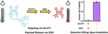 Graphical abstract: Logic-gated approach for targeted delivery and site-selective activation of photothermal agents in precision cancer treatment