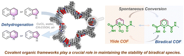 Graphical abstract: Spontaneous conversion of pyridine N-oxide ylide covalent organic framework (COF) into biradical COF as an efficient catalyst in catalytic dehydrogenation of nitrogen heterocycles