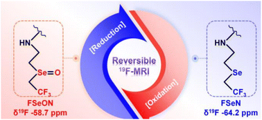 Graphical abstract: Reversible redox 19F magnetic resonance imaging nanoprobes for monitoring the redox state in vivo