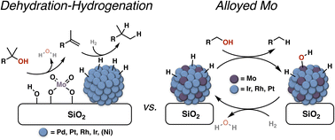 Graphical abstract: Alloyed molybdenum enables efficient alcohol hydrodeoxygenation with supported bimetallic catalysts
