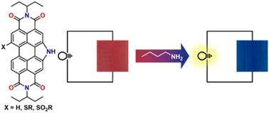 Graphical abstract: Flexible dual-action colorimetric-electronic amine sensors based on N-annulated perylene diimide dyes