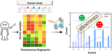 Graphical abstract: A methodological study for the diagnosis of the SARS-Cov-2 infection in human serum with a macrocyclic sensor array